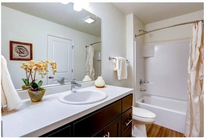 Building Photo - 10572 Belle Creek Blvd