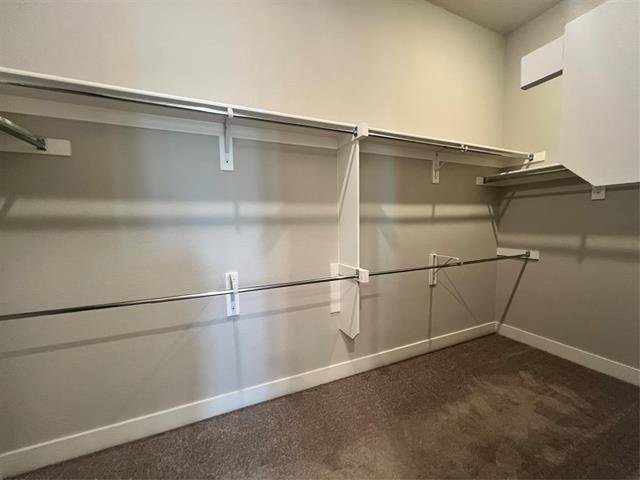 Building Photo - 1553 Sugarberry Dr