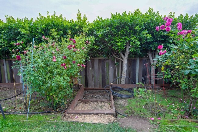 Building Photo - Extensively remodeled 4 Bed / 3 Bath home in South San Francisco. YouTube tour!