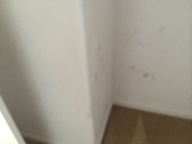 Building Photo - 2328 S Fallbrook Dr