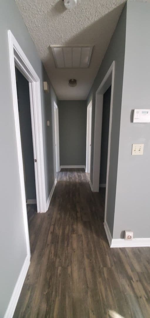 Building Photo - Madison Ann Lane Complex