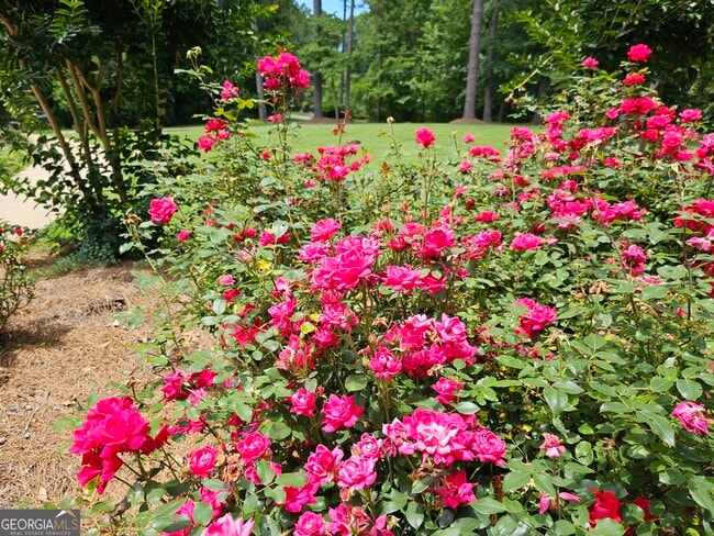 Building Photo - 15 Falcon Dr