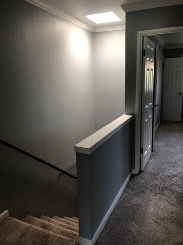 Leafy Grove Castro Valley Ca Apartment Finder Building Photo Leafy Grove