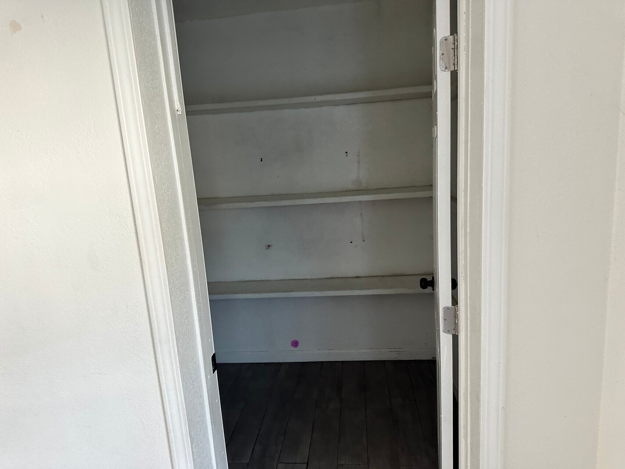 Large pantry - 272 E Jackson St