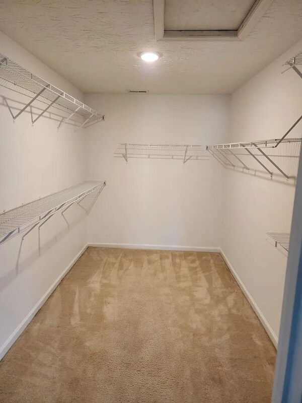 Building Photo - 1325 Harrington Ct