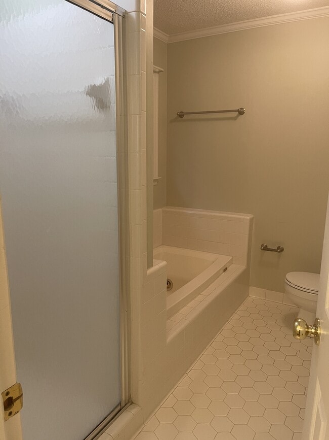 Building Photo - 163 Bent Tree Dr