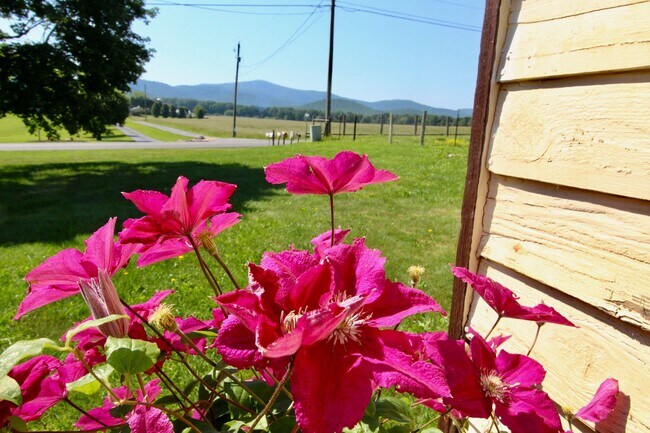 Building Photo - Stunning Home with Breathtaking Blue Ridge Mountain Views!   3 Bedrooms | 2 Baths
