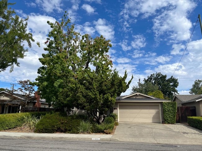 Building Photo - 519 Drucilla Dr