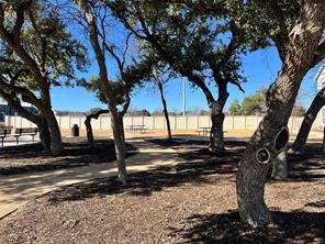 Building Photo - 1617 Coral Sunrise Trl