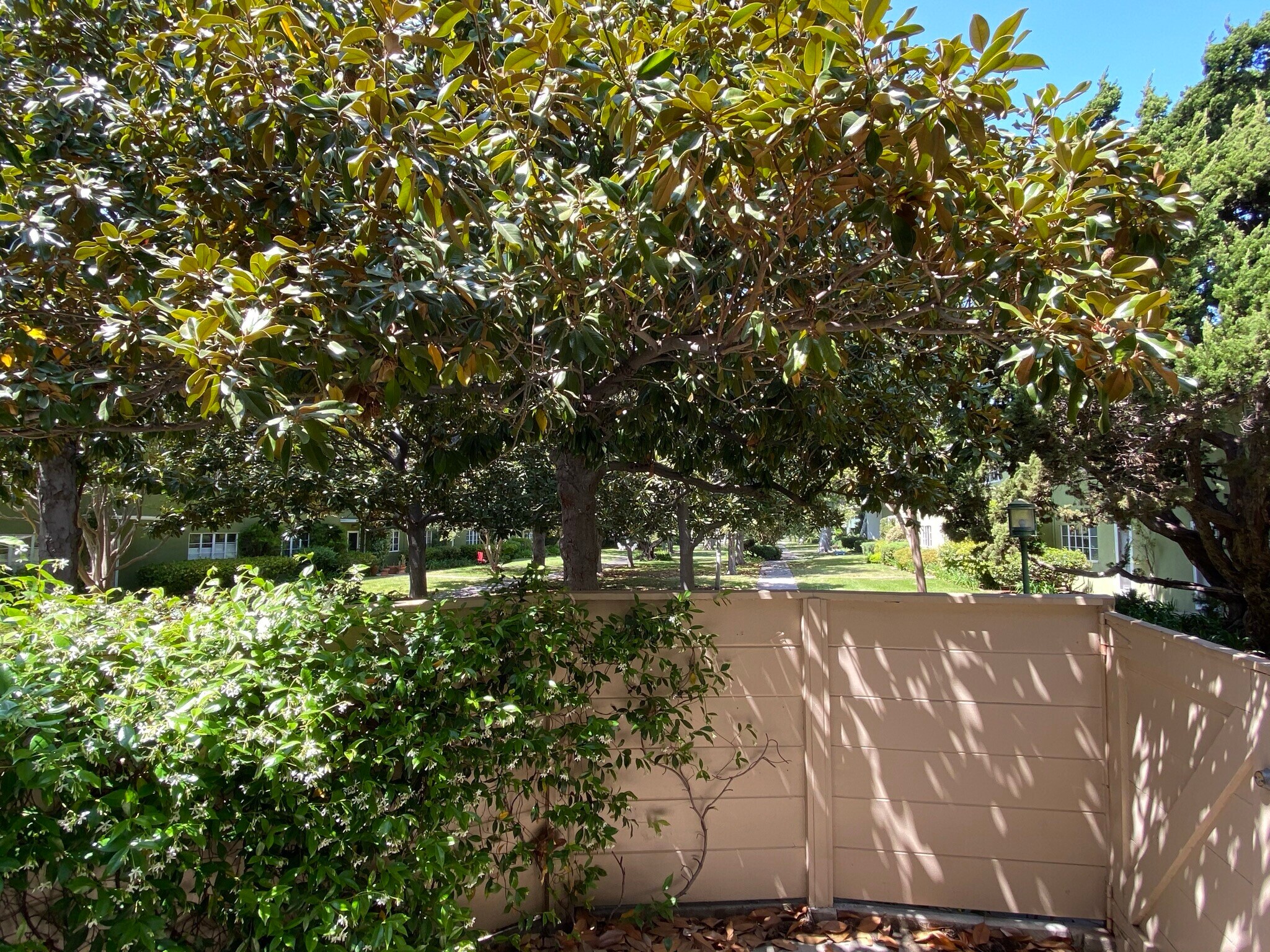 Patio - 5414 Village Grn