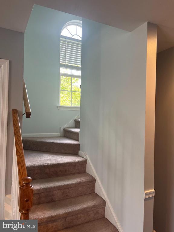 Building Photo - 313 Glenn Rose Cir