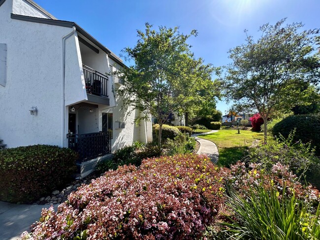 Building Photo - 1 Bed, 1 Bath Loft Condo in La Mesa!