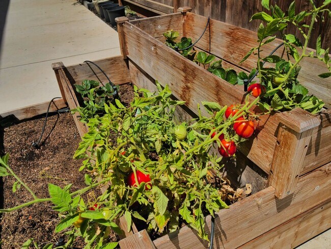 Building Photo - Gorgeous 4 Bed, 3.5 Bath in Brentwood