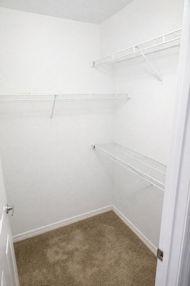 Building Photo - 12500 Crest Springs Ln