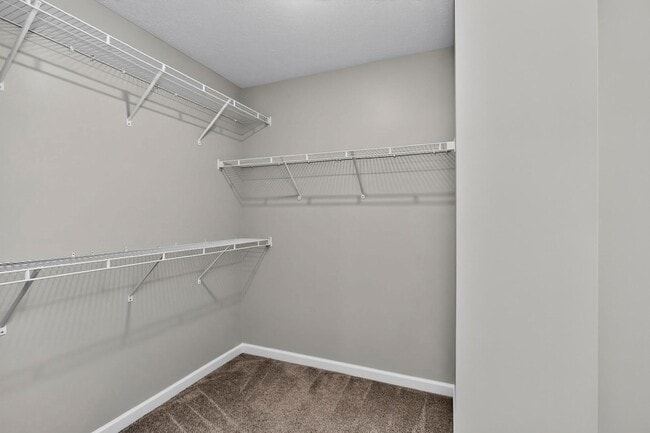 Building Photo - 520 Sunflower Dr