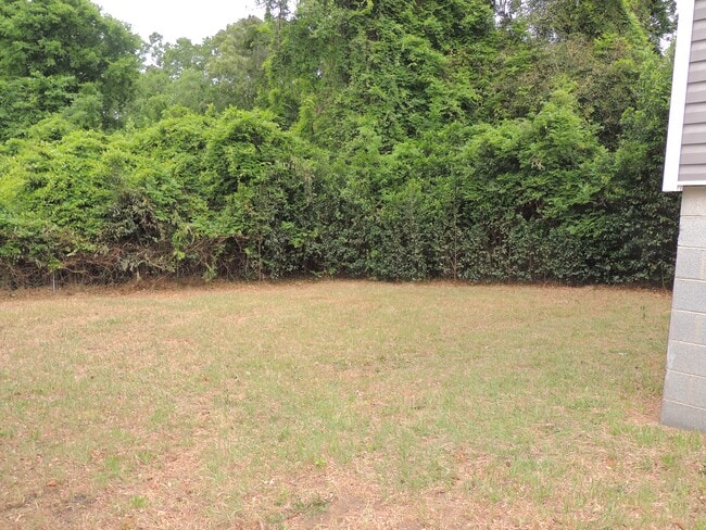 Building Photo - 1505 Murchison Rd