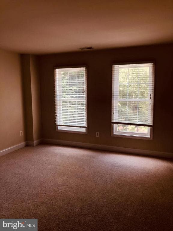 Building Photo - 8533 Gallahan Ct