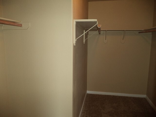 Building Photo - 2903 Windy Hollow Ln