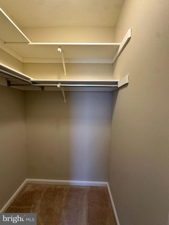 Building Photo - 109 Cardinal Ln