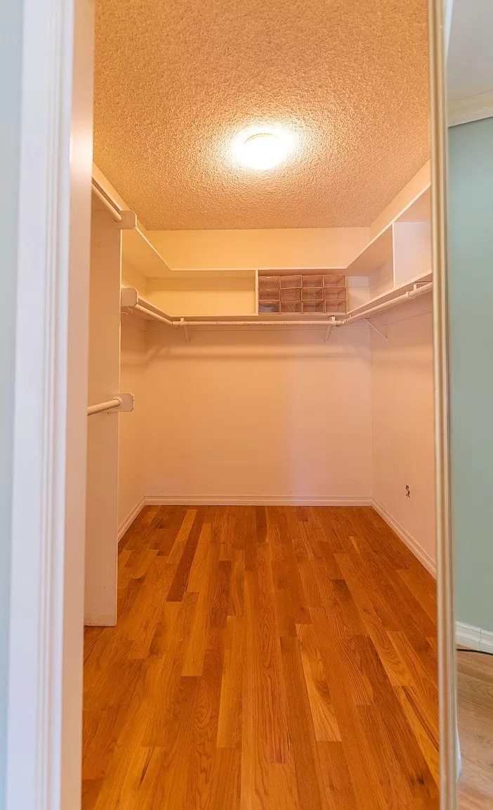 Walk in Closet - 11318 Dona Lisa Dr