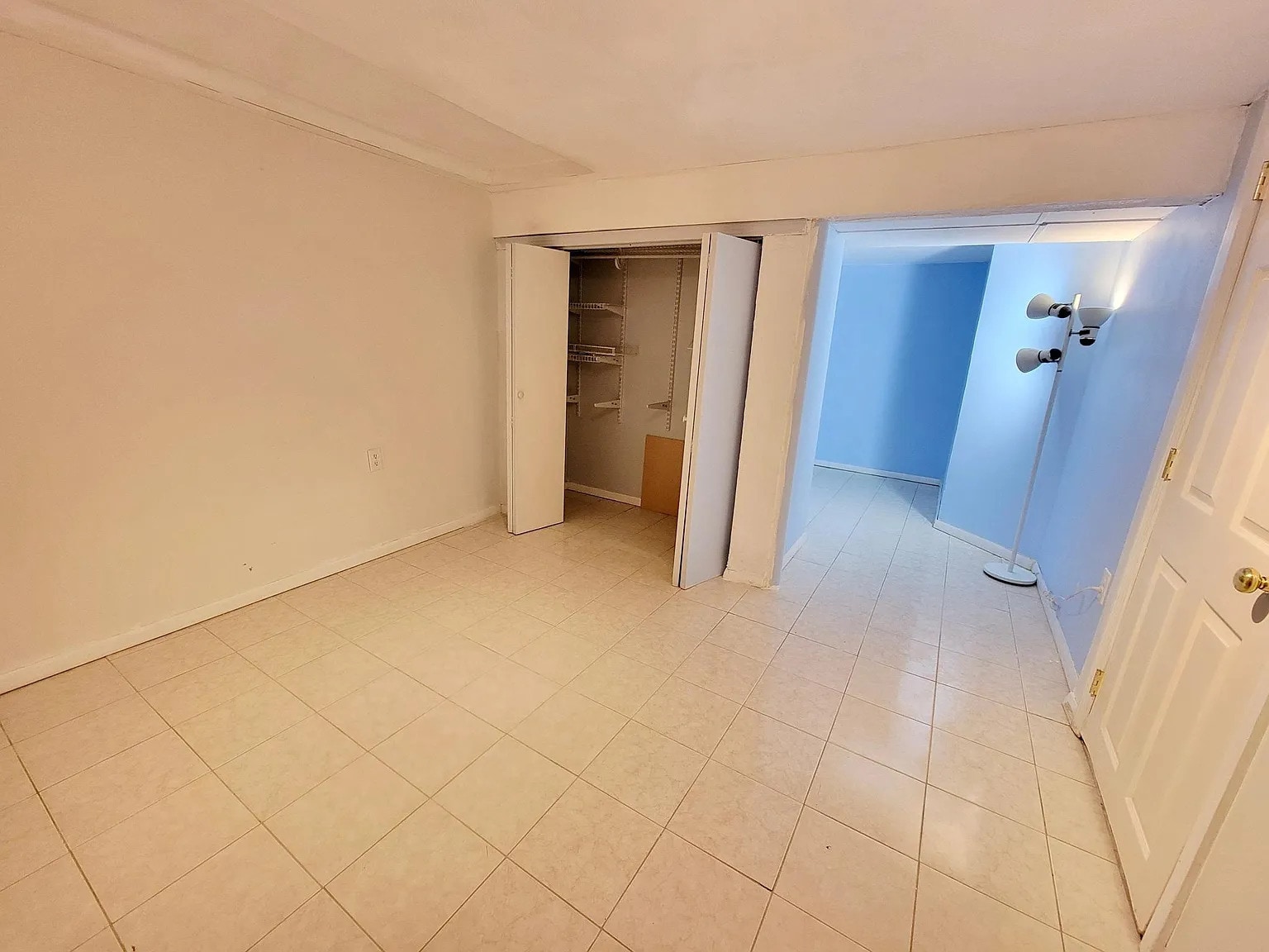 basement - 49 Lupine Rd