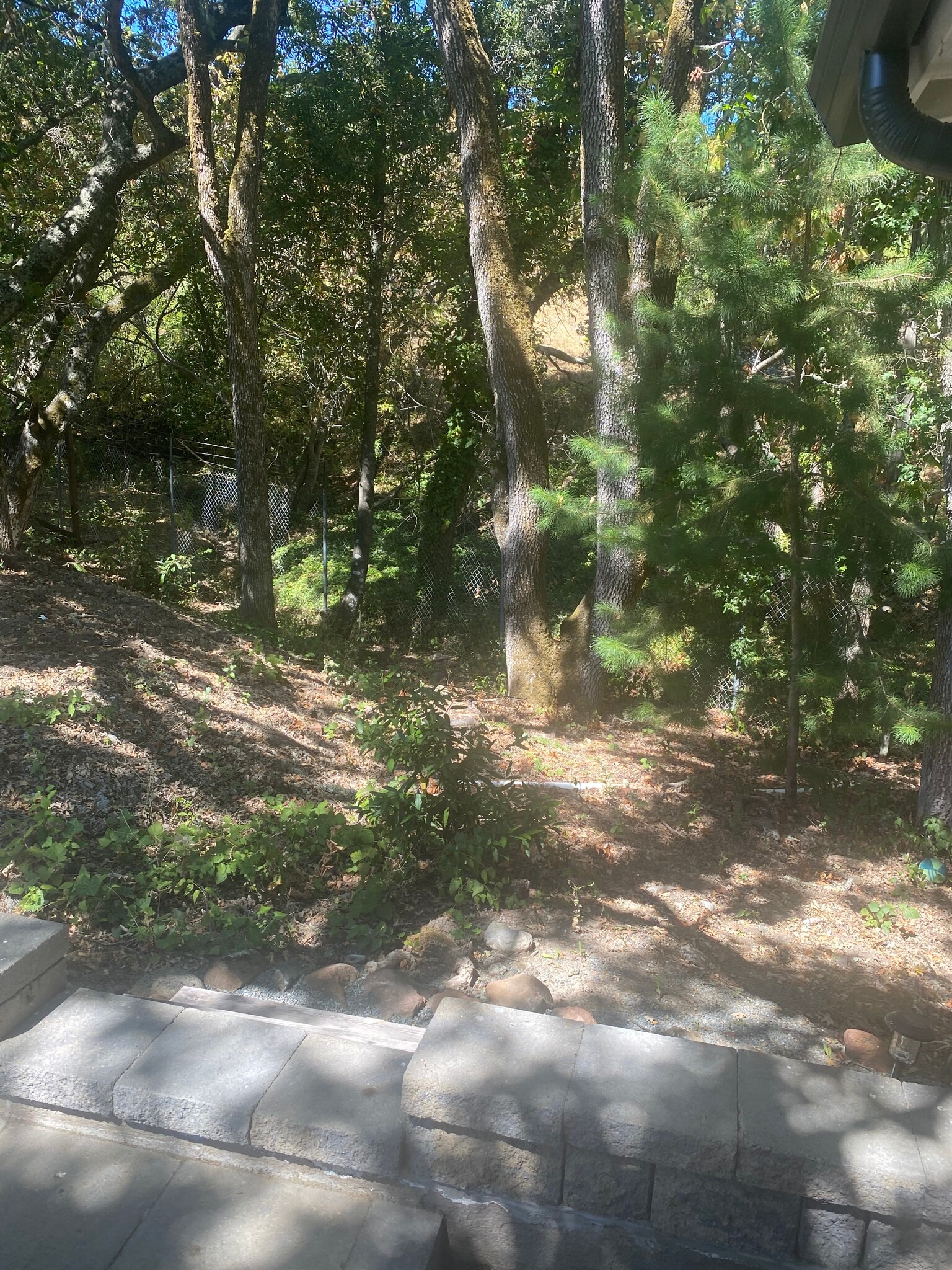 Building Photo - 184 Moraga Way