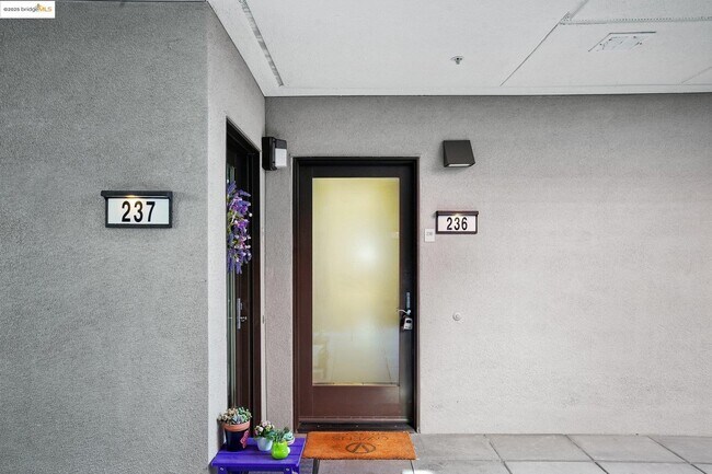 Building Photo - 6466 Hollis St