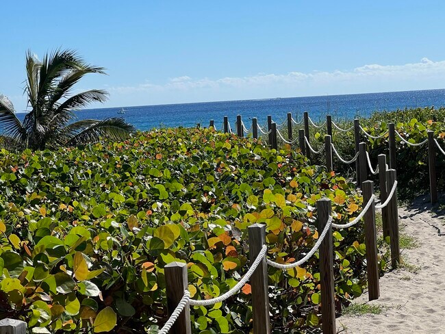 Building Photo - 250 S Ocean Blvd