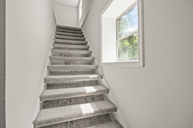 Building Photo - 21146 New Candy Dr