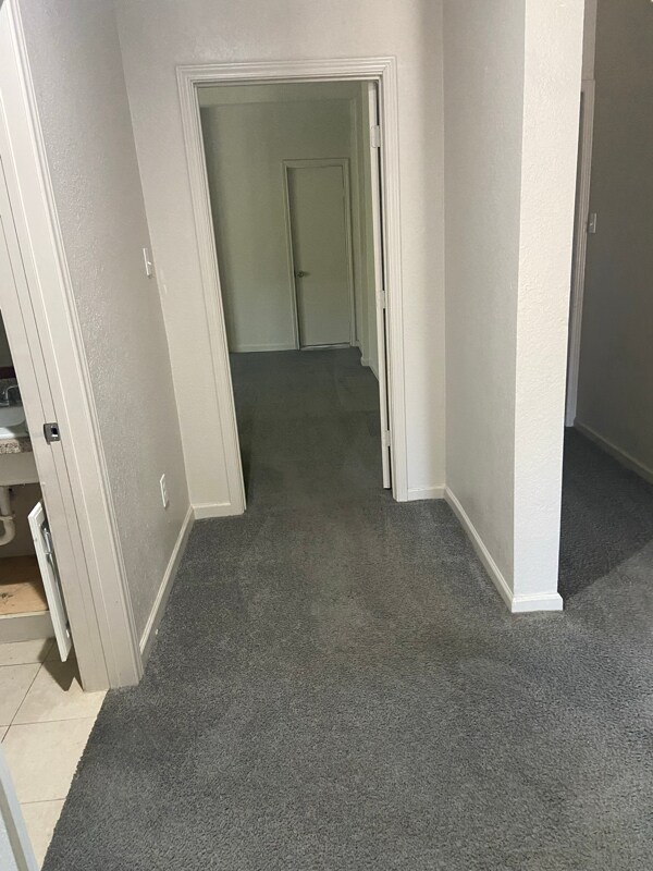 Building Photo - 1331 Elmwood Ave