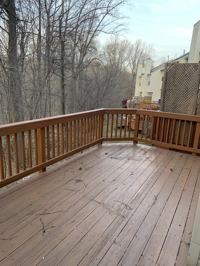 Back patio facing the woods - 836 Faraway Ct