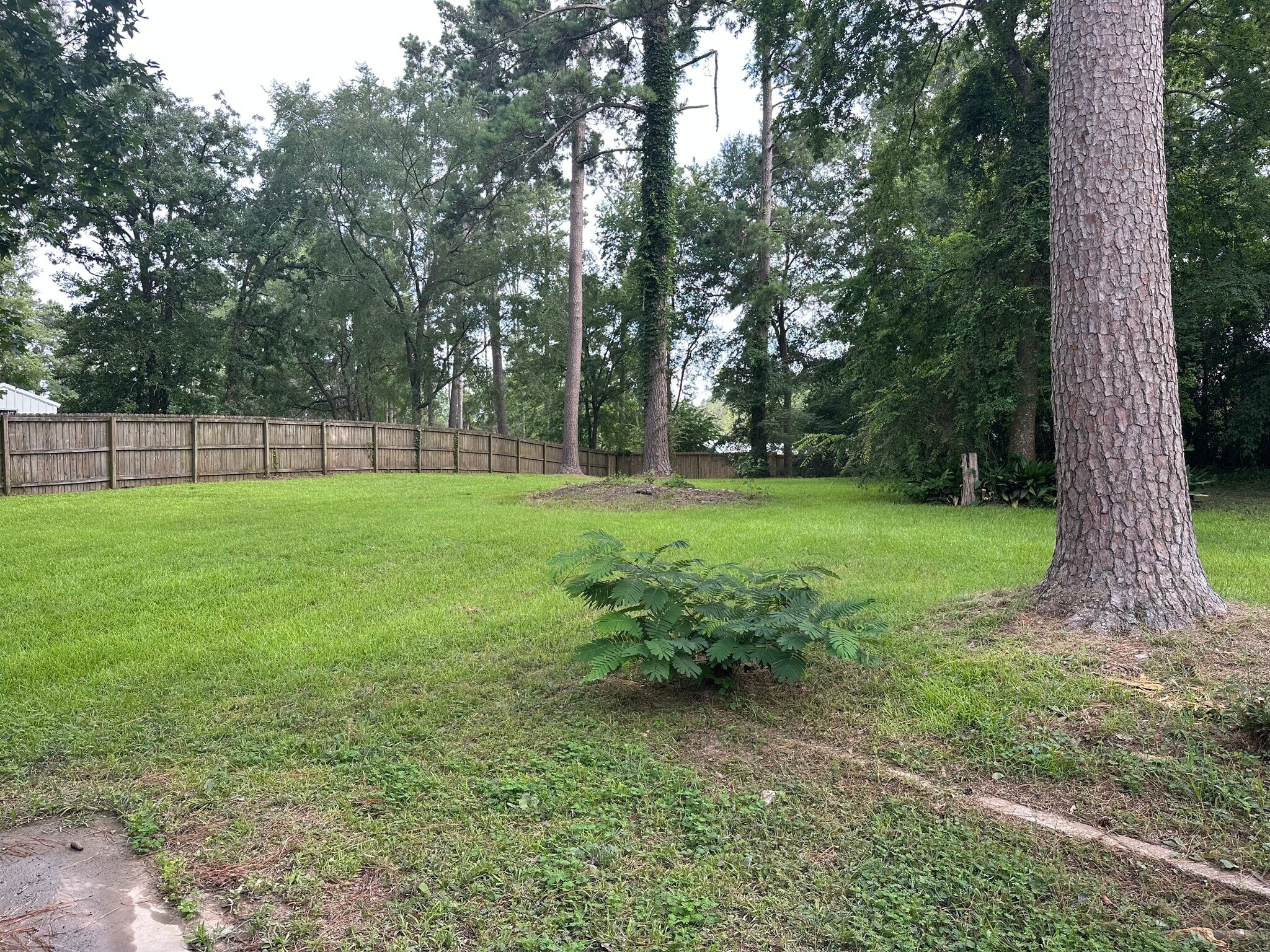 Building Photo - 6 Trailwood Ct