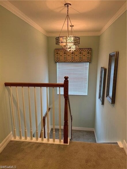 Building Photo - 10305 Longleaf Pine Ct