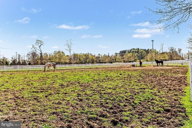 Building Photo - 10878 Foxtrot Cir
