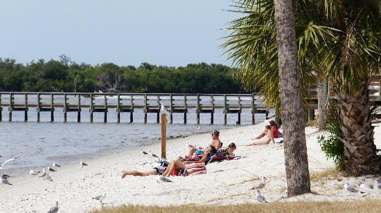 Building Photo - "Elegant 3-Bed Waterfront pool Home"