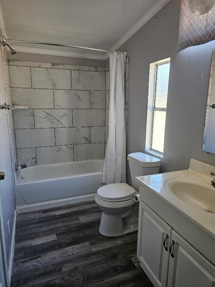 Building Photo - 31 Cinnamon Ln