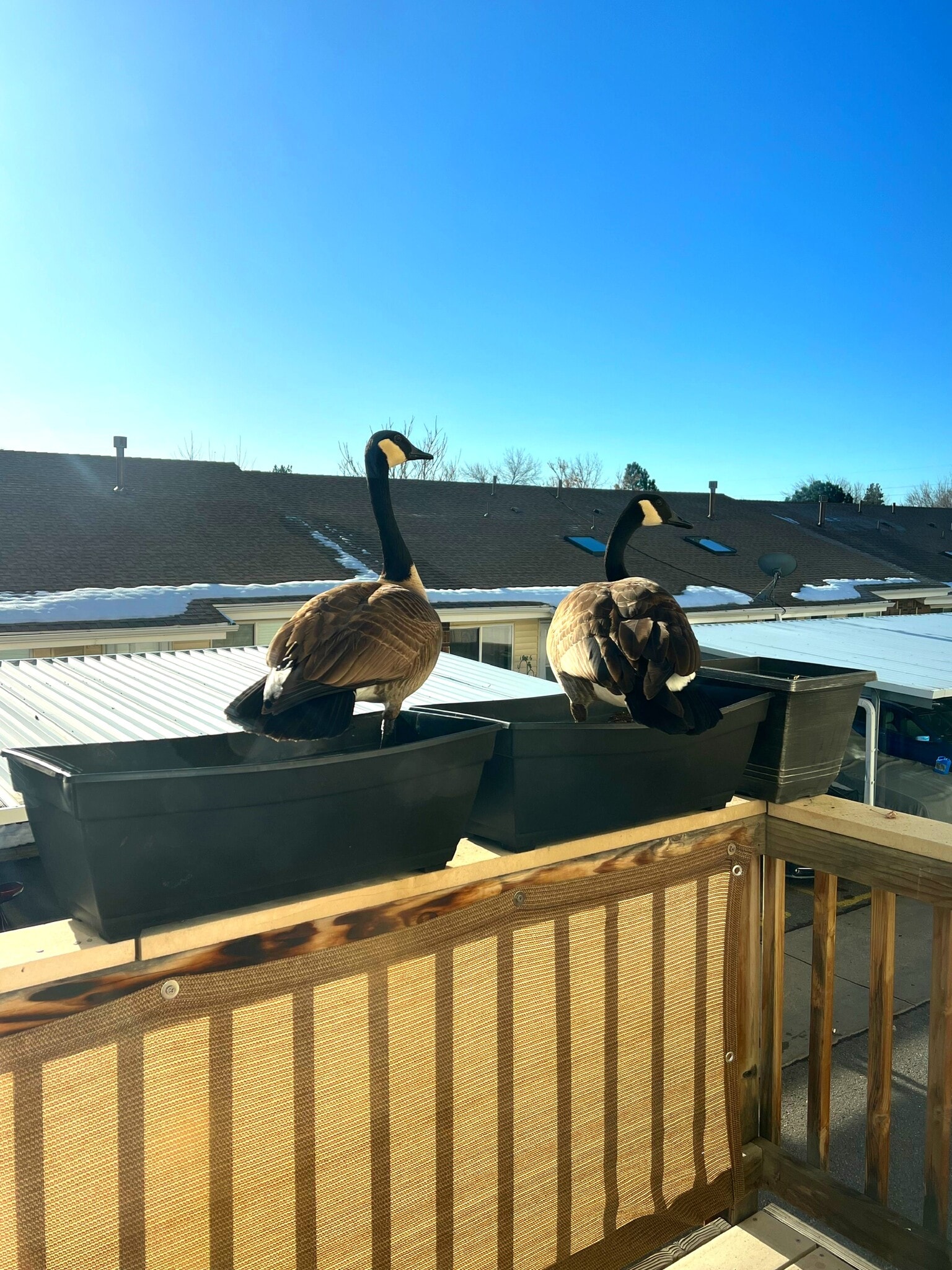 Building Photo - 1008 S Miller St