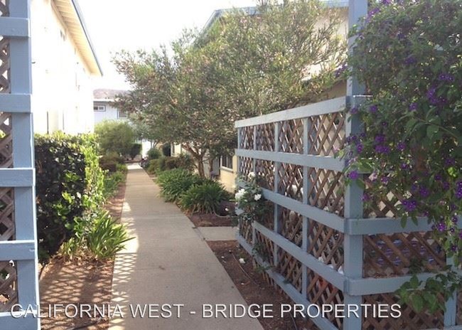 Primary Photo - 2 br, 1 bath Apartment - 284 N. Chorro