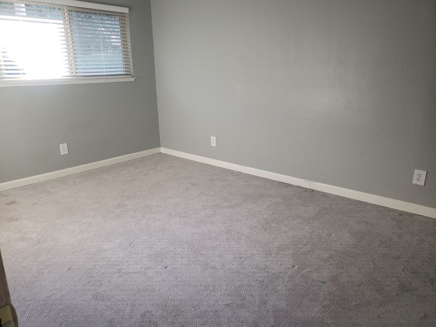 Building Photo - Olympic