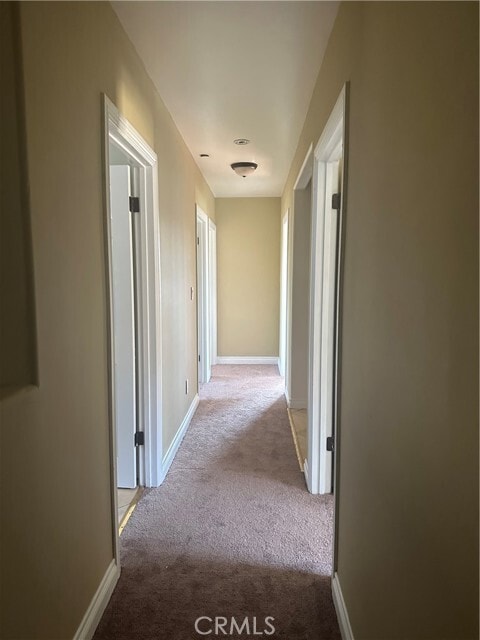 Building Photo - 3831 Wall St