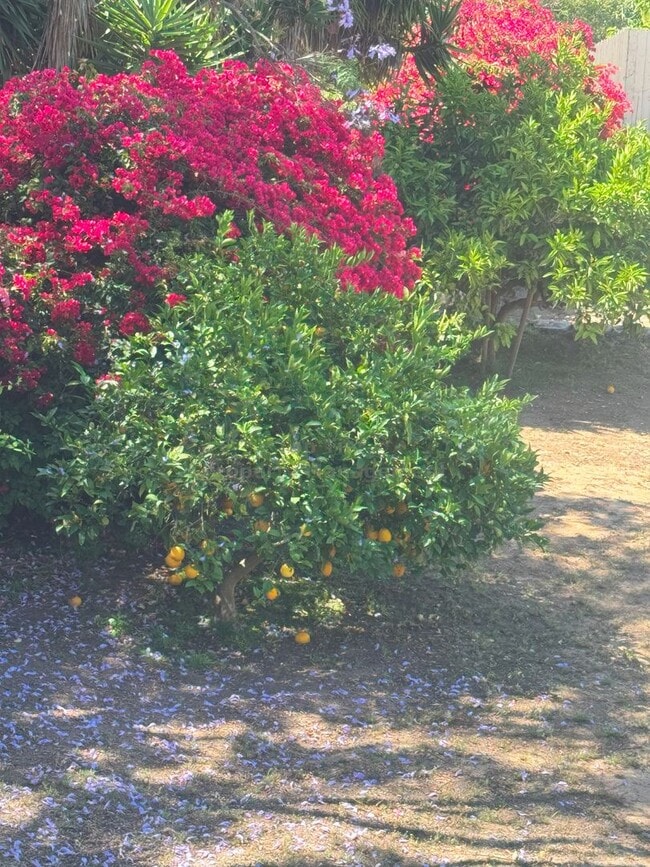 Building Photo - Spacious 4-Bedroom Home on Expansive Lot i...
