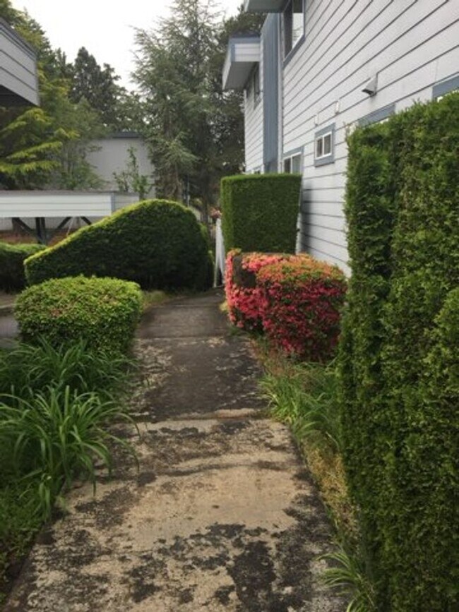 Building Photo - Steilacoom 1 bedroom with a view of  the