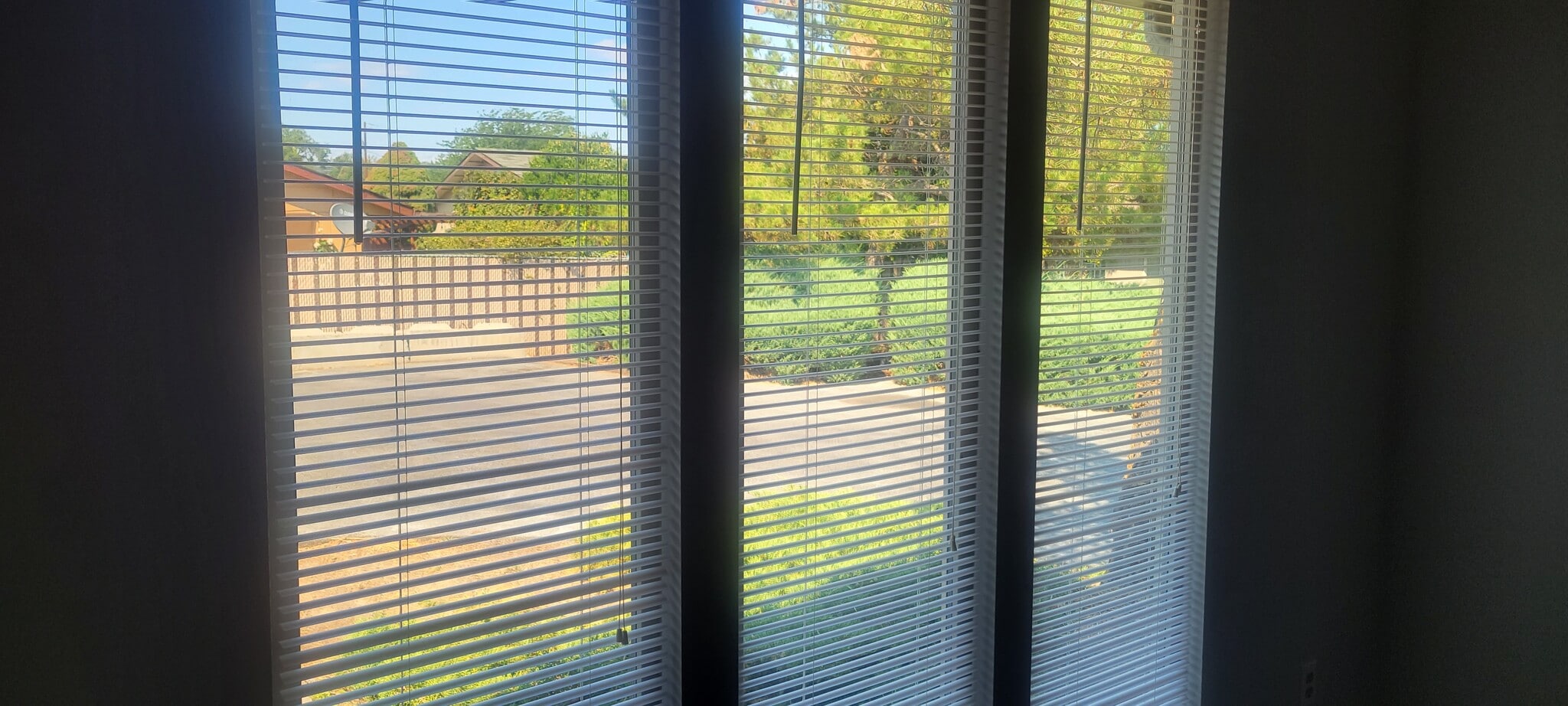 Living room windows - 1215 S 43rd Ave