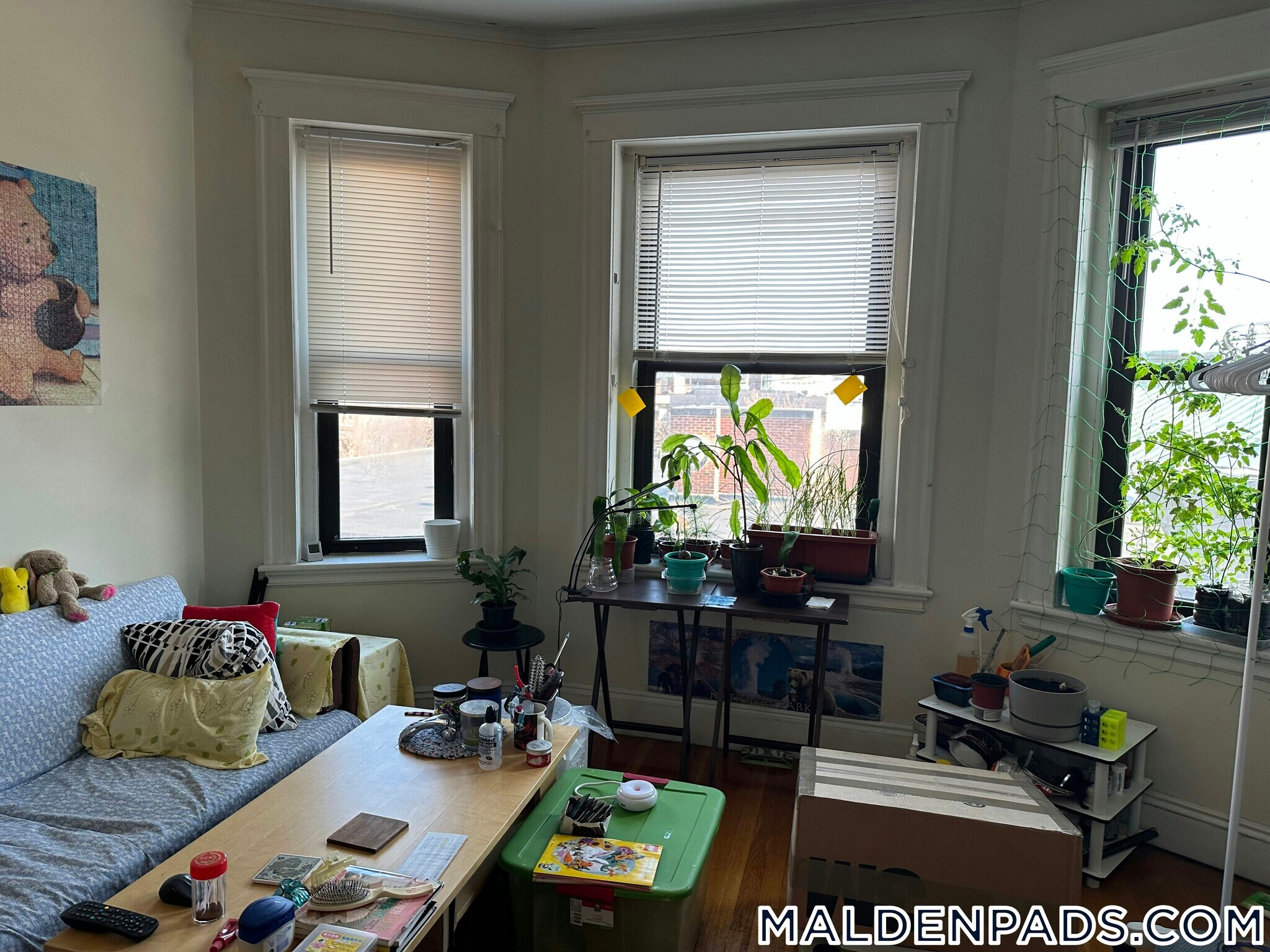 Building Photo - 17-19 Washington St.