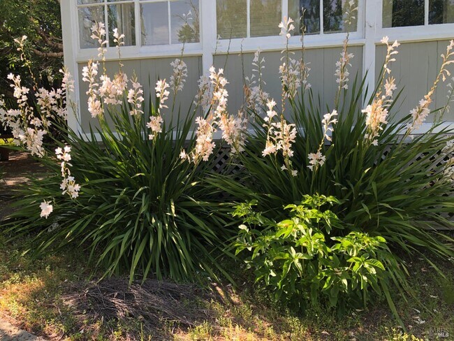 Building Photo - 530 Ethel Ave