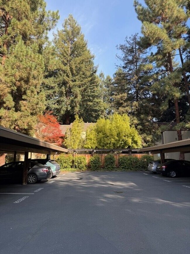 Building Photo - Spacious 1 Bedroom 1 Bath Upstairs Condo with a View