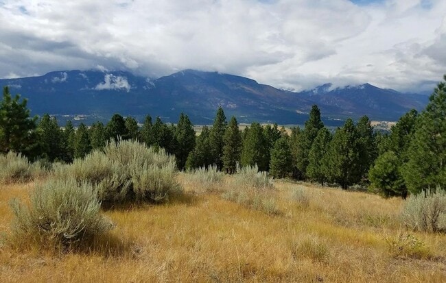 Building Photo - Cozy 1-Bed Cabin on 30 Private Acres – Incredible Views & Outdoor Access