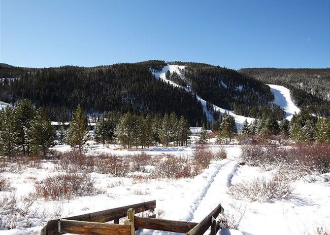 Building Photo - Winter Seasonal Rental- Cinnamon Ridge III...