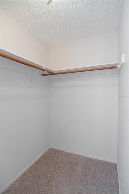 Building Photo - 3050 Concord St