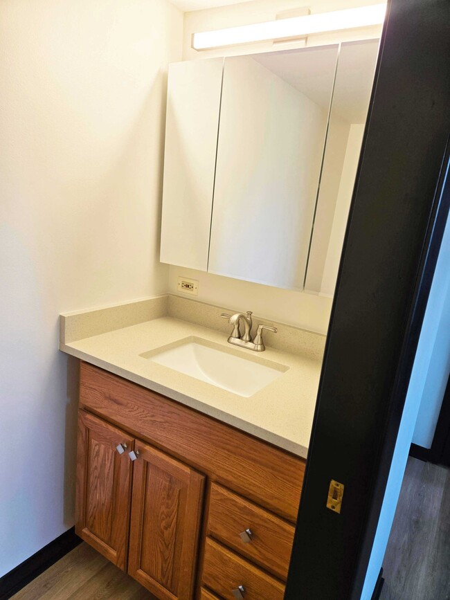 Master half bath sink - 209 Kimbell Ave